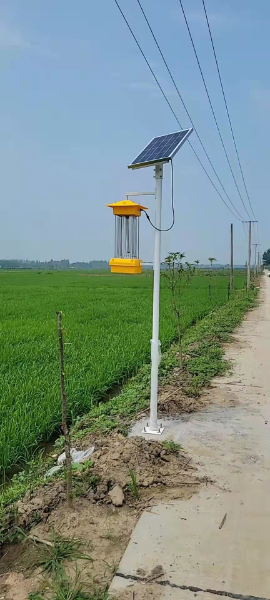 太阳能杀虫灯