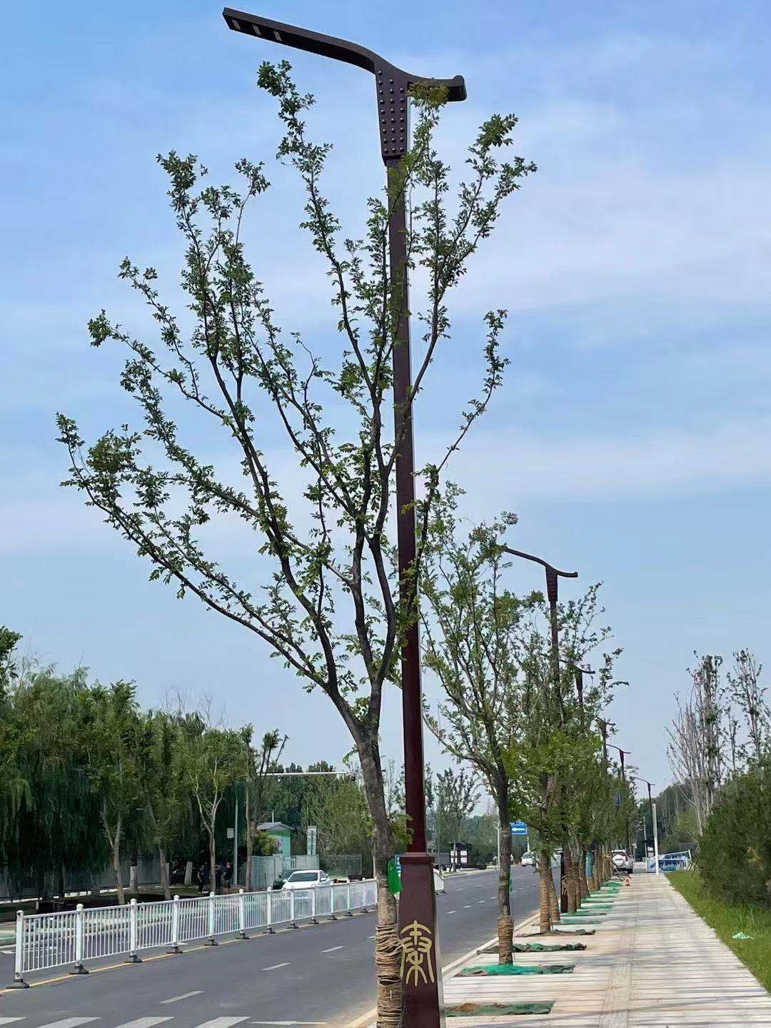 西安异形路灯